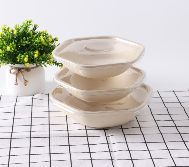 Bio Degradable Hexagonal Bowl