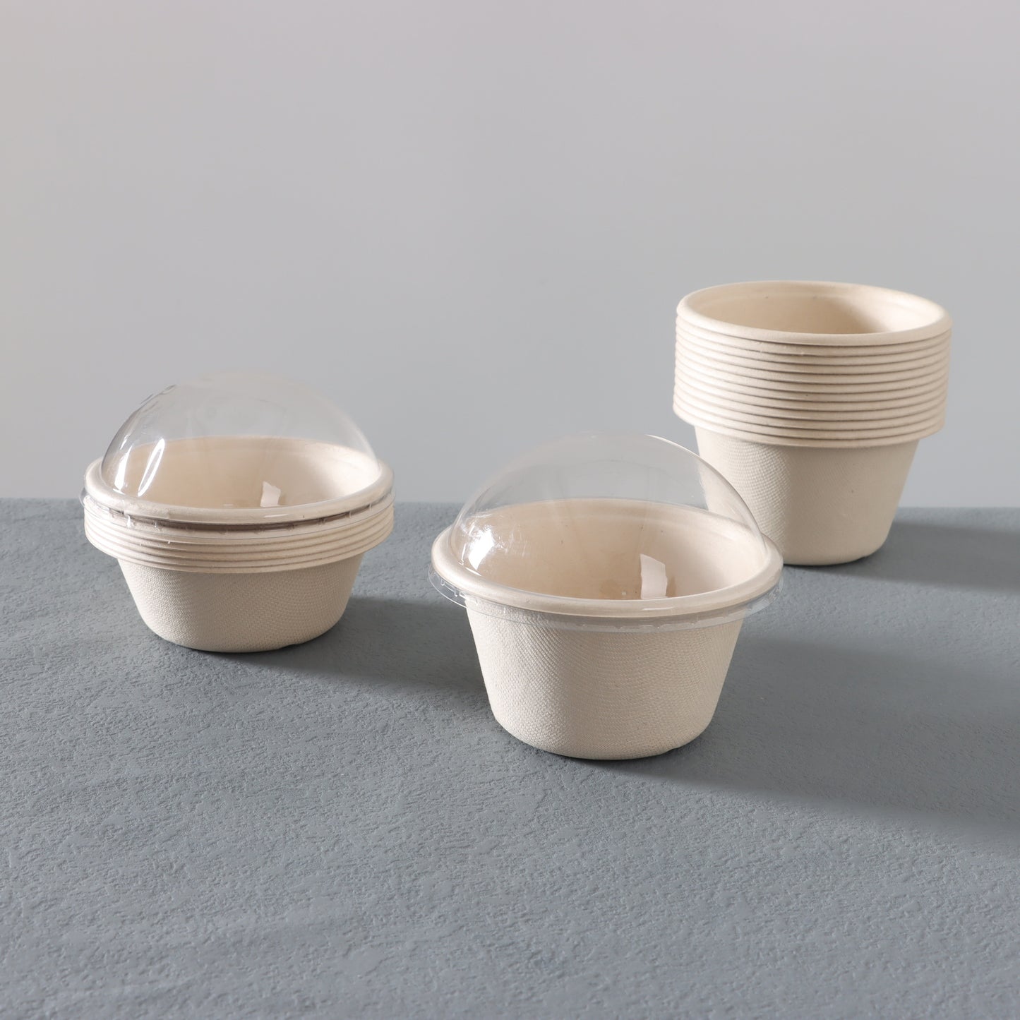 300ml Bio Degradable Bowl (lid)