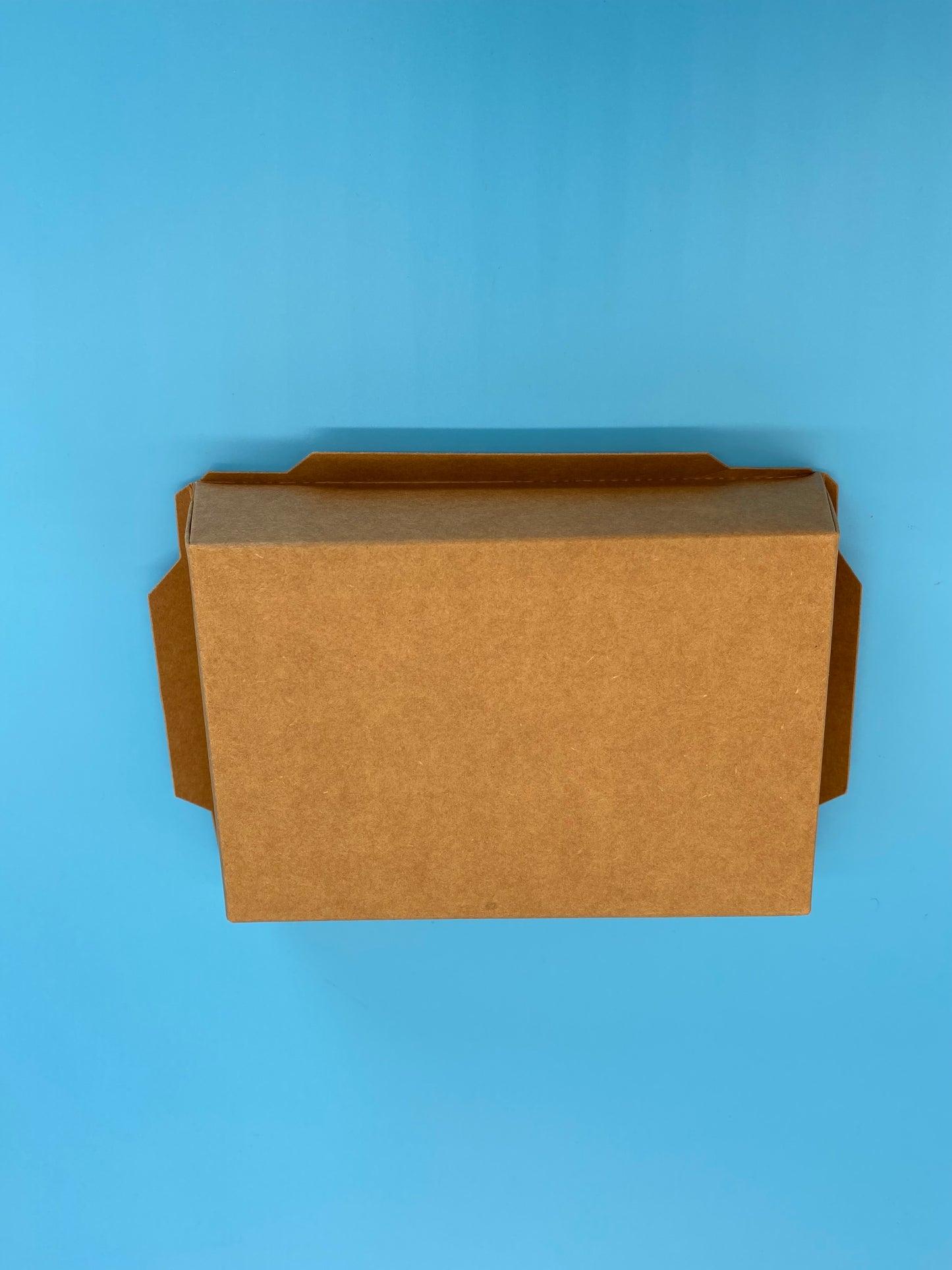 Kraft Paper Meal Box  700