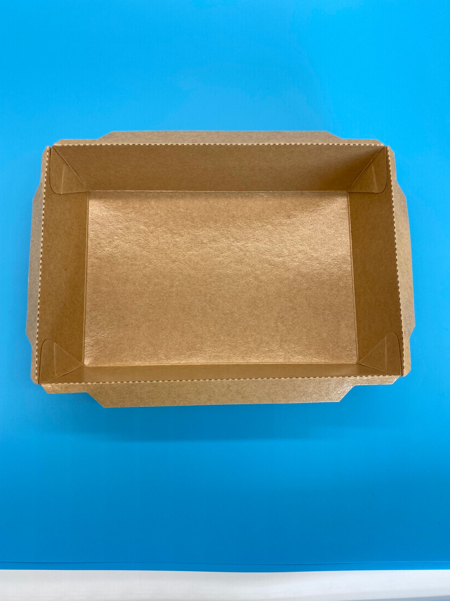 Kraft Paper Meal Box 1200